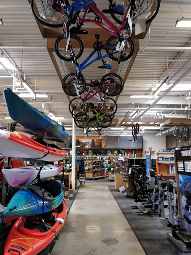 Camping Store «REI», reviews and photos, 144 Glen Cove Rd, Carle Place, NY 11514, USA