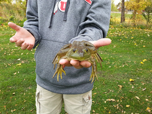 Golf Course «River Birch Golf Course», reviews and photos, 3740 N Pollard Ln, Star, ID 83669, USA