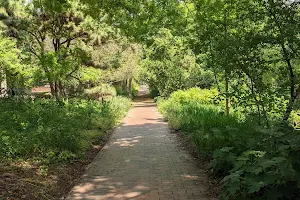 Coker Arboretum image