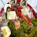 Photo n°10 de l'avis de Nocera.i fait le 18/09/2023 à 09:08 sur le  Il Dubbio à Castellammare di Stabia