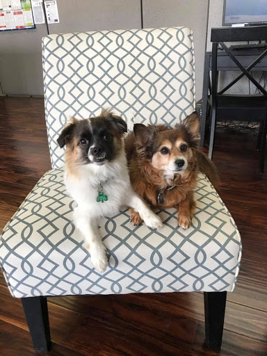 Employment Agency «Express Employment Professionals - Gresham, OR», reviews and photos, 120 NW Burnside Rd, Gresham, OR 97030, USA