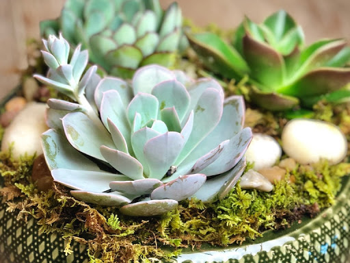 Florist «Twinbrook Floral Design», reviews and photos, 9579 Braddock Rd, Fairfax, VA 22032, USA