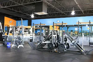 Hammerhead Gym (Cape Coral) image