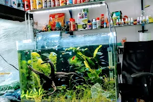 Blue Lagoon Aquarium & Pet Shop image