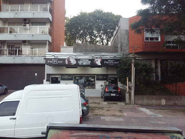 Opiniones de Veterinaria CanYGatos en Montevideo - Veterinario