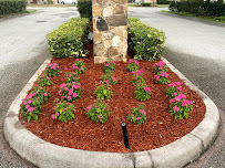 Chads Clean Cut Lawns, LLC. - Photo 9 - Car repair in Lakeland, FL, Winter Haven