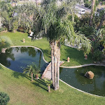 Photo n°2 de l'avis de Klaus.o fait le 26/07/2020 à 14:43 sur le  Hotel Mediterraneo à Santa Maria Navarrese (Ogliastra)