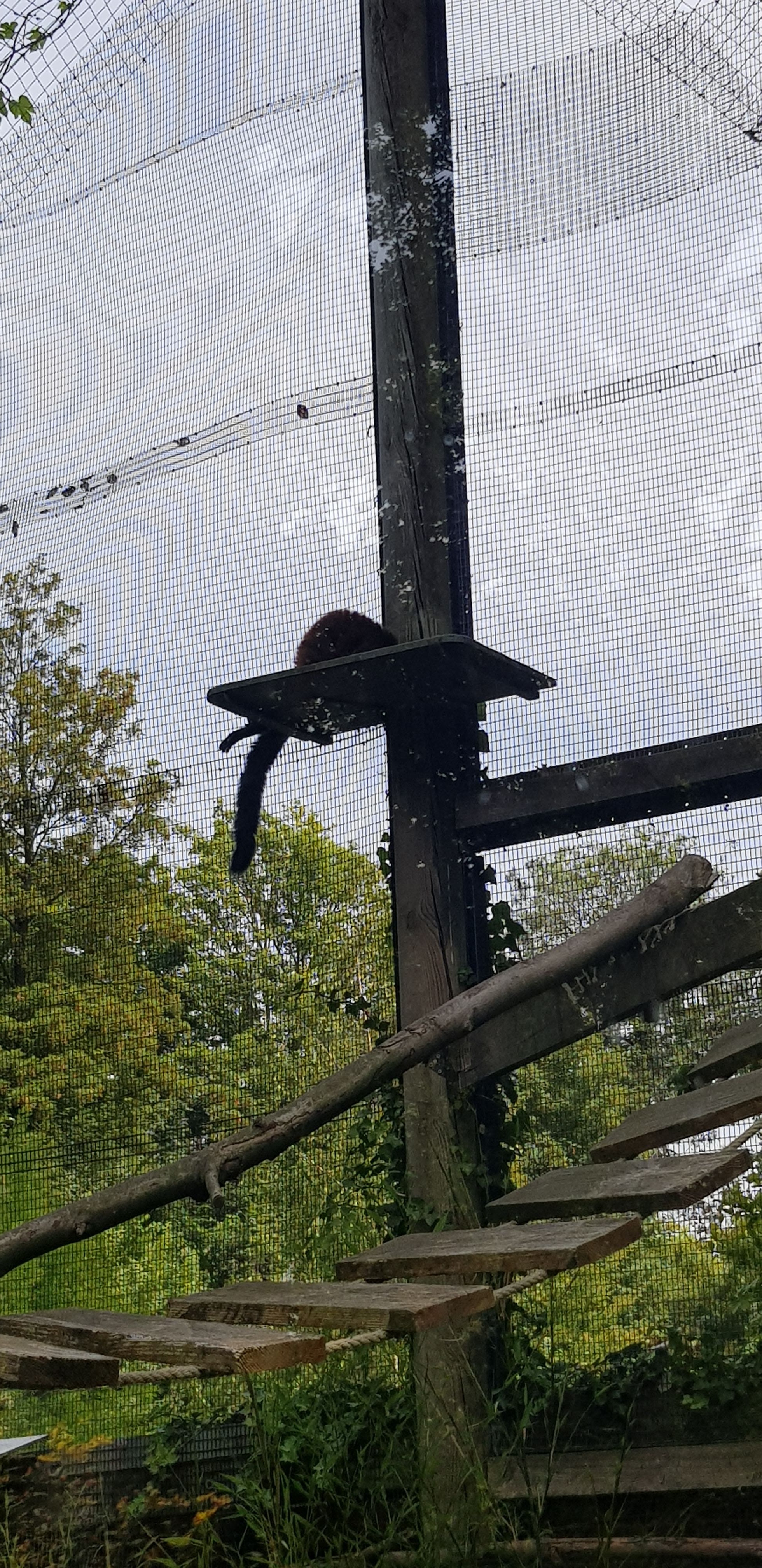 Photo n° 46 de l'avis de Nuk3d.t fait le 13/10/2019 à 18:58