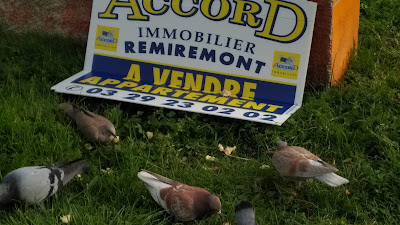 Accord Immobilier remiremont à Remiremont