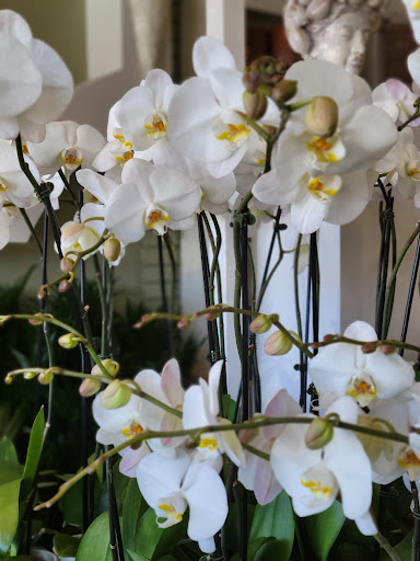 Florist «Cleveland the Florist», reviews and photos, 4404 Old Shell Rd, Mobile, AL 36608, USA