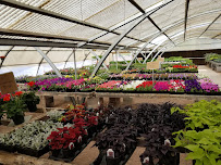 Meadowlark Garden - Photo 7 - Car repair in Grand Junction, CO, Grand Junction