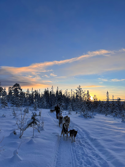 Norway Husky Adventure AS