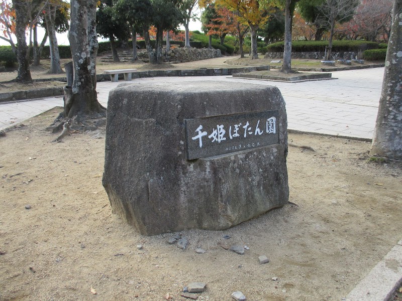 姫路城千姫ぼたん園