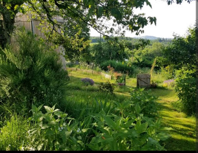 Gite le petit paradis à Saint-Julien-le-Petit