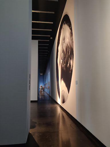 Modern Art Museum «The Dali Museum», reviews and photos, 1 Dali Blvd, St Petersburg, FL 33701, USA