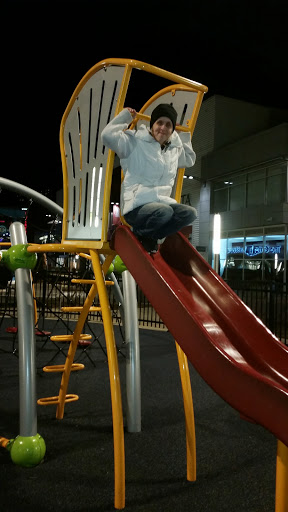 Movie Theater «ShowPlace ICON Theatres at Roosevelt Collection with ICON•X - Chicago», reviews and photos, 1011 S Delano Ct, Chicago, IL 60605, USA