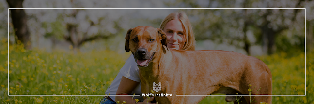 Wolf's Instinkte - Deine Hundeschule