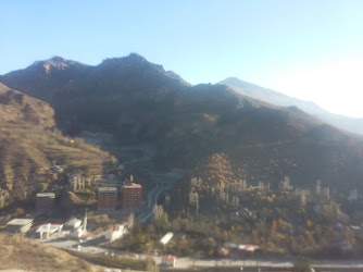 Gumushane devlet hastanesi