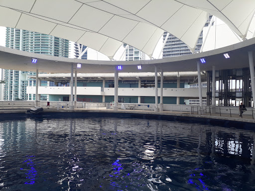 Park «Museum Park», reviews and photos, 1075 Biscayne Blvd, Miami, FL 33132, USA
