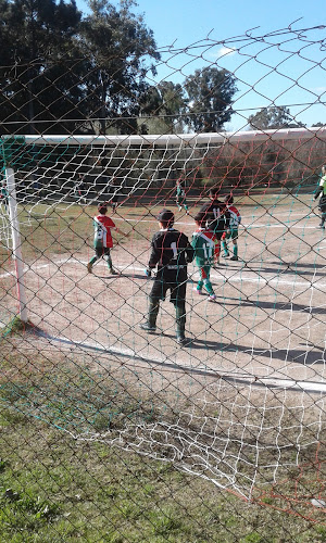 Opiniones de Club Baby Fútbol El Tigre en Florida - Campo de fútbol