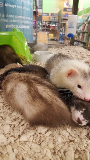 Pet Supply Store «Petco Animal Supplies», reviews and photos, 280 Kensington Blvd, Slidell, LA 70458, USA