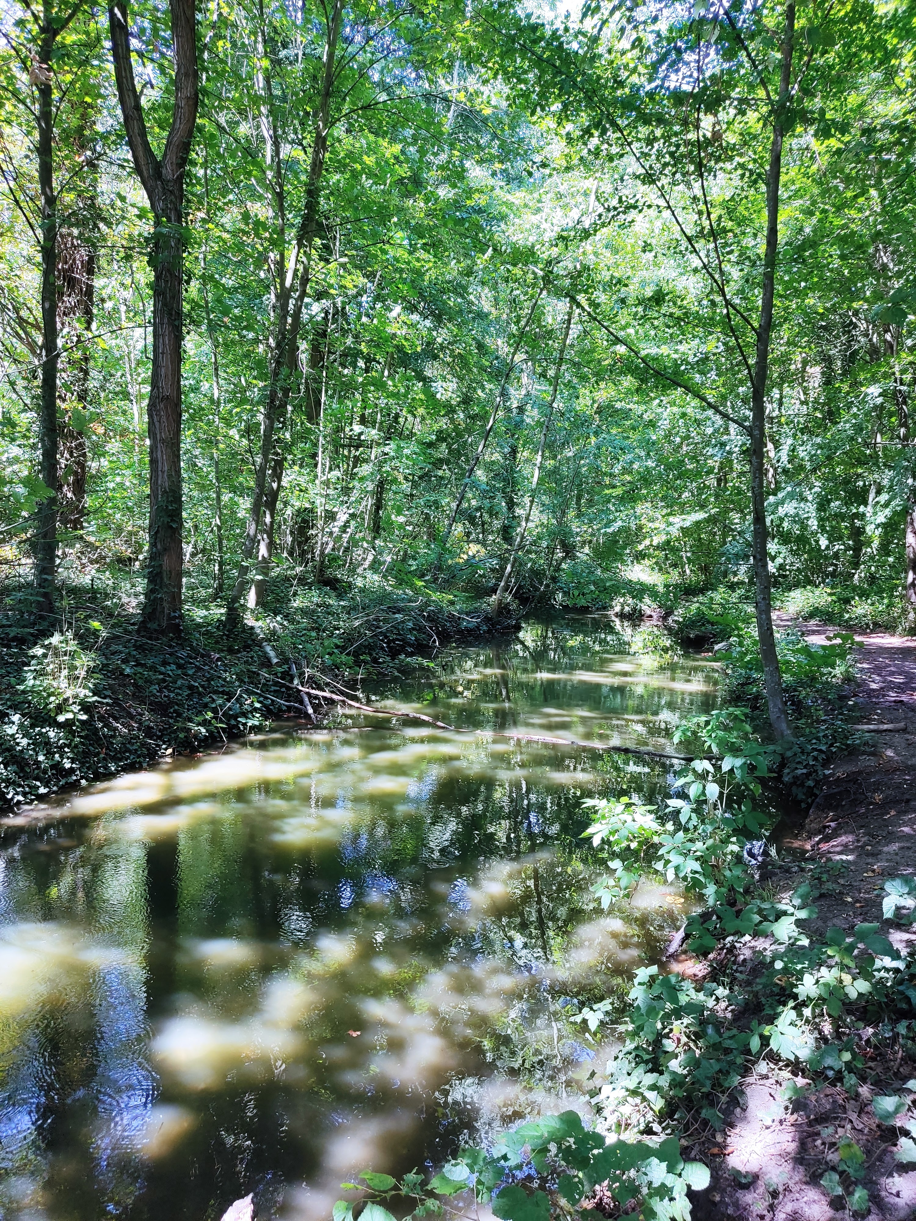 Photo n° 4 de l'avis de stephanie.u fait le 25/07/2022 à 05:42