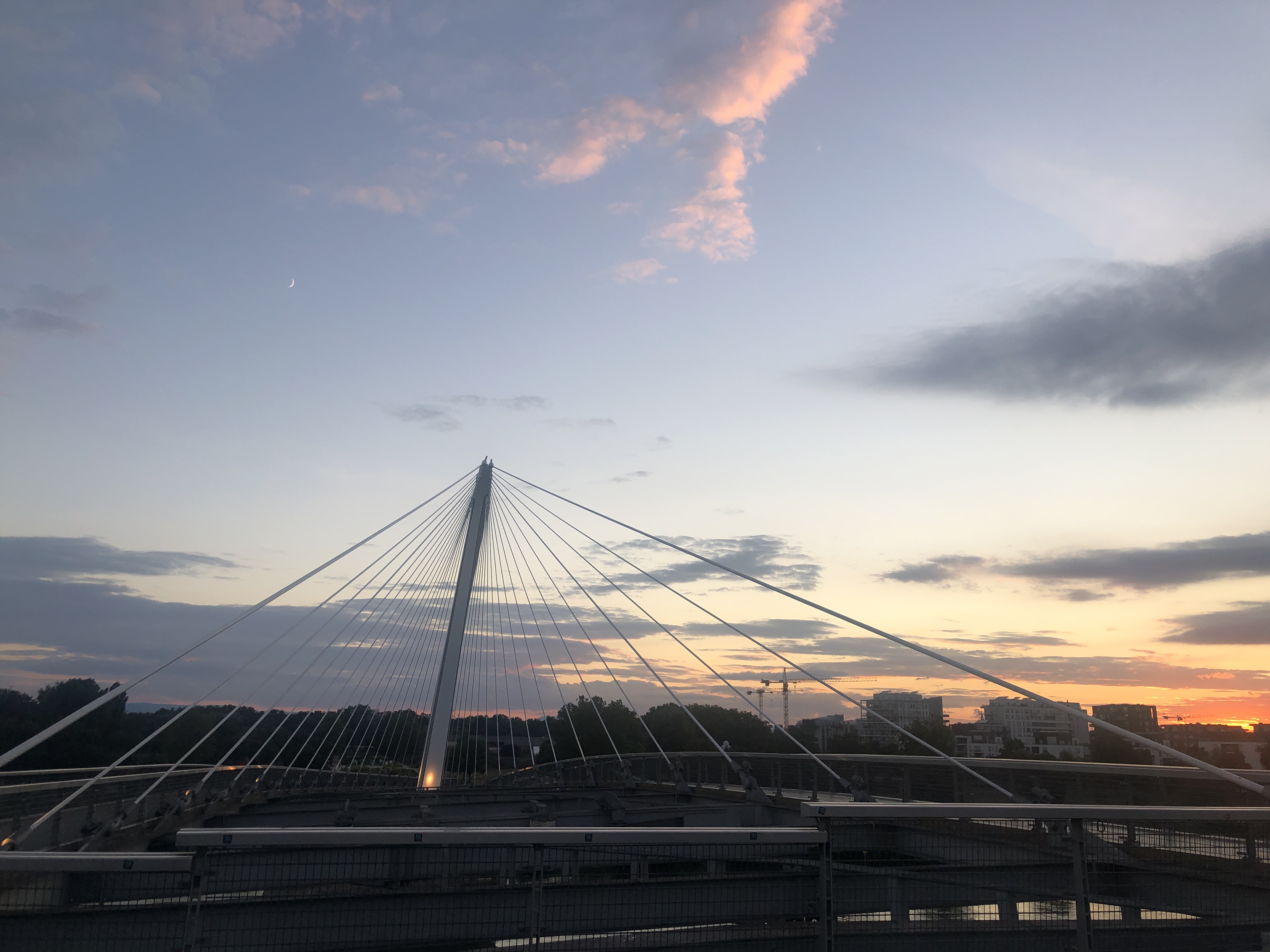 Photo n° 25 de l'avis de Carol.a fait le 24/07/2020 à 23:10