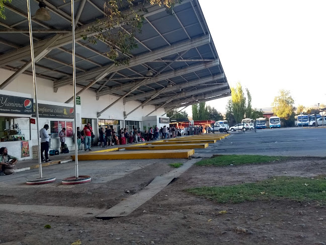 Opiniones de Terminal Rodoviario San Felipe en San Felipe - Servicio de transporte