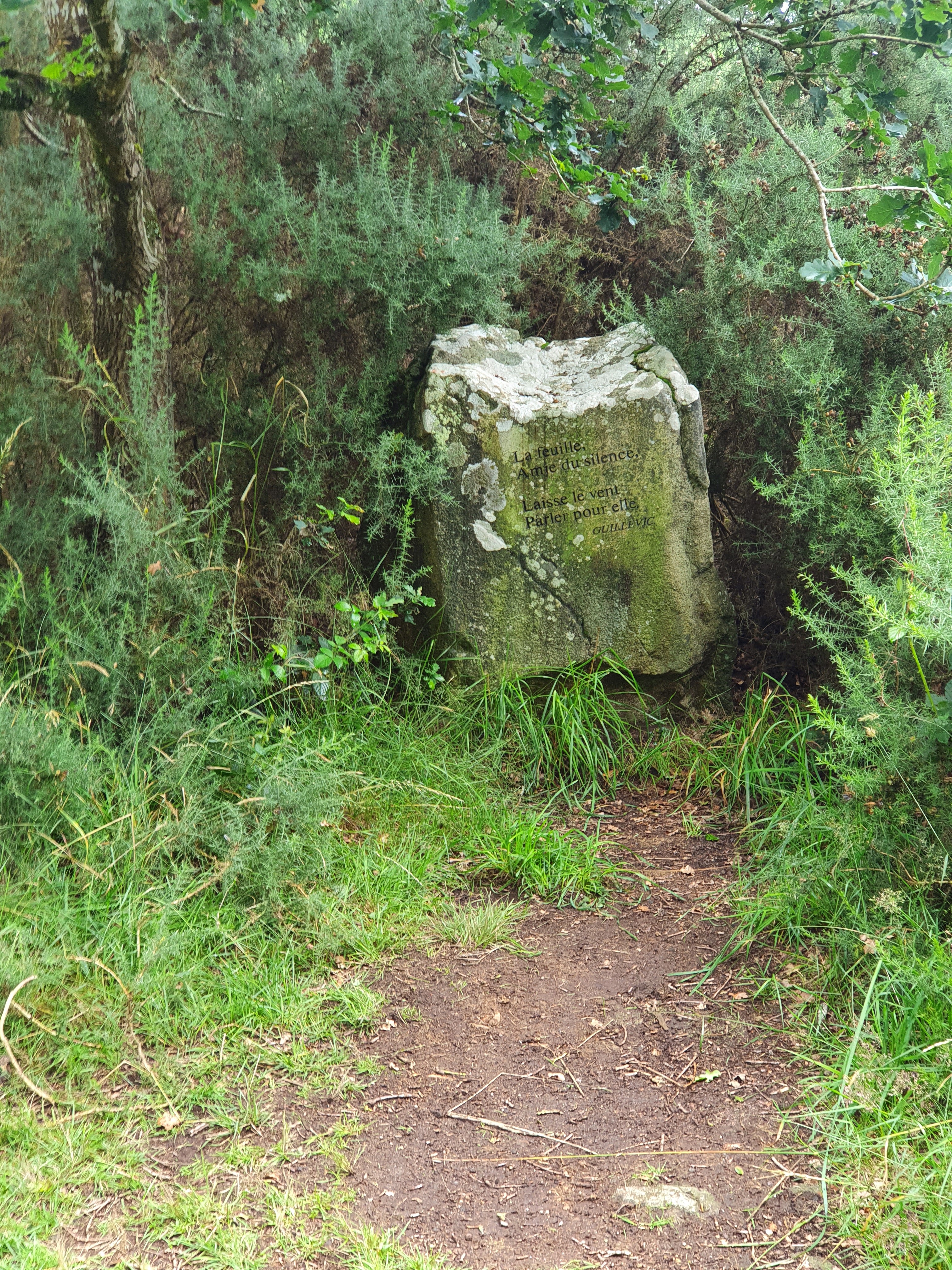 Photo n° 12 de l'avis de Astaroth.a fait le 11/07/2021 à 21:47