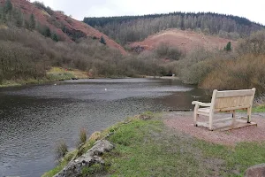Clydach Vale Country Park image