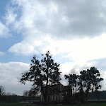 Photo n° 1 de l'avis de Stéphane. fait le 23/03/2019 à 15:01 pour Parc du château de la Ferté-Vidame à La Ferté-Vidame