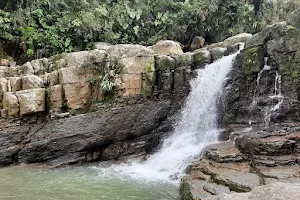 Cascadas Caños Negros image