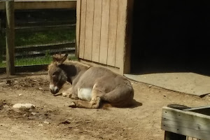 Saginaw Children's Zoo