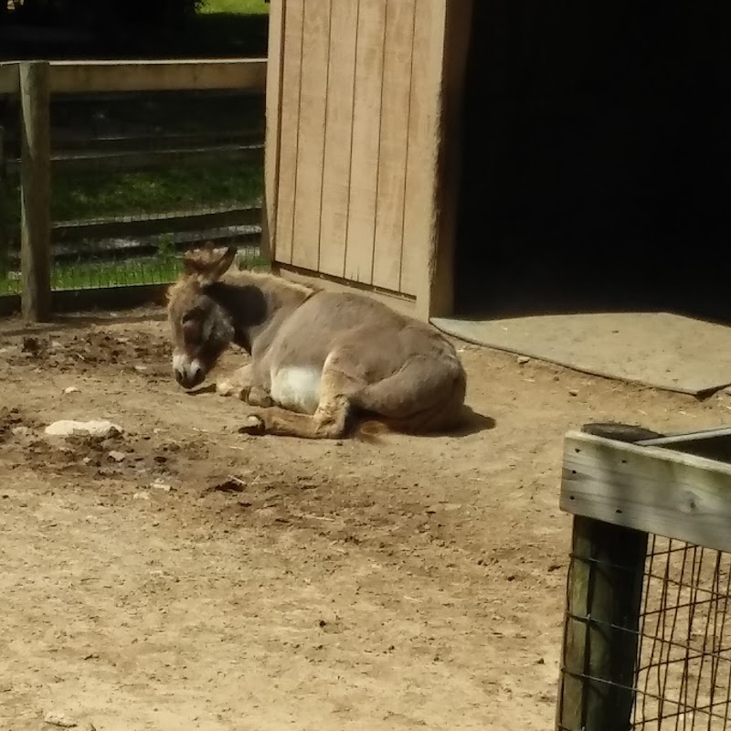 Saginaw Children's Zoo