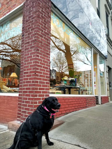 Thrift Store «Housing Works Thrift Shops», reviews and photos, 266 5th Ave, Brooklyn, NY 11215, USA