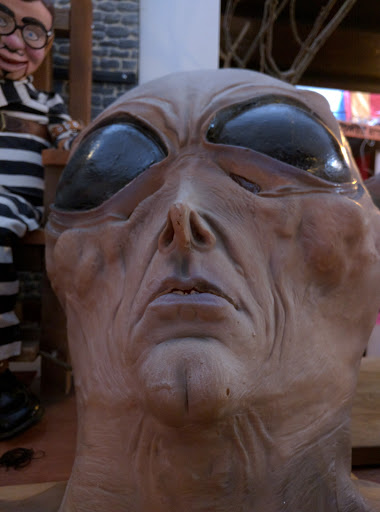 Art Gallery «The Freakybuttrue Peculiarium and Museum», reviews and photos, 2234 NW Thurman St, Portland, OR 97210, USA