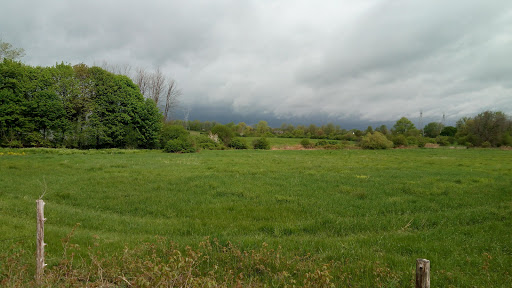 Hotel «RIT Inn & Conference Center», reviews and photos, 5257 W Henrietta Rd, Henrietta, NY 14467, USA