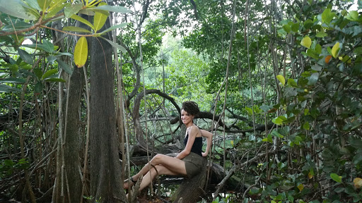 Park «Greynolds Park», reviews and photos, 17530 W Dixie Hwy, North Miami Beach, FL 33160, USA