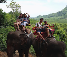 Phunaka krabi of Thailand (Elephant Trekking) photo