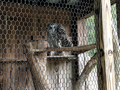 mobile mechanic near owls hill nature sanctuary in brentwood tn