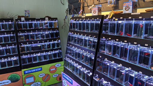 Tropical Fish Store «Aquarium Co-Op», reviews and photos, 9661 Firdale Ave, Edmonds, WA 98020, USA