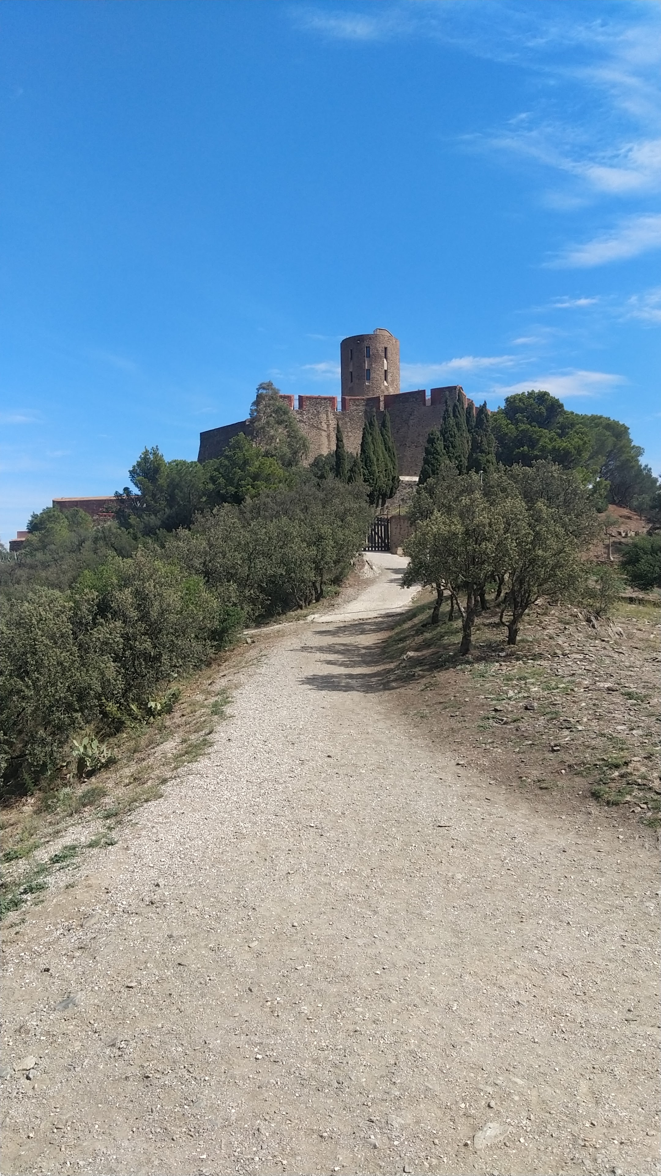 Photo n° 1 de l'avis de JEAN.A fait le 18/09/2023 à 11:43