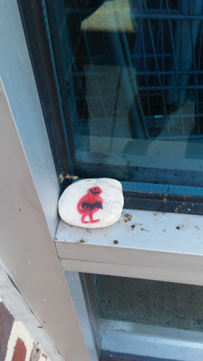 Grocery Store «Food Lion», reviews and photos, 36127 Goodwin Dr, Locust Grove, VA 22508, USA