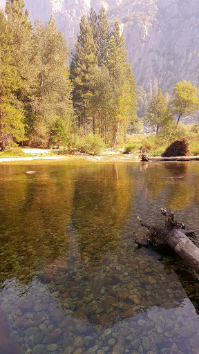 National Park «Kings Canyon National Park», reviews and photos