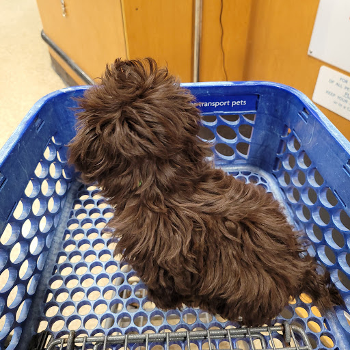 Pet Supply Store «PetSmart», reviews and photos, 5750 W 86th St, Indianapolis, IN 46278, USA