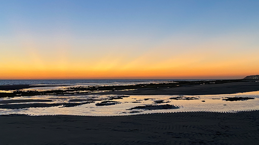 Criminal Justice Attorney «Law Offices of Nicholas Loncar», reviews and photos