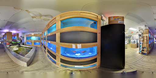 Tropical Fish Store «Ocean Aquarium», reviews and photos, 6820 E Black Horse Pike, Egg Harbor Township, NJ 08234, USA