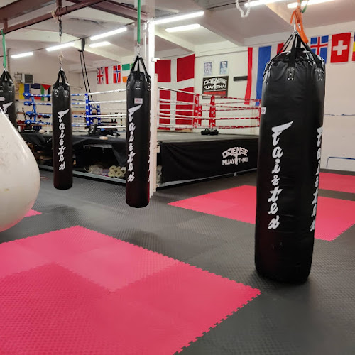 Odense Muay Thai Gym - Træningscenter