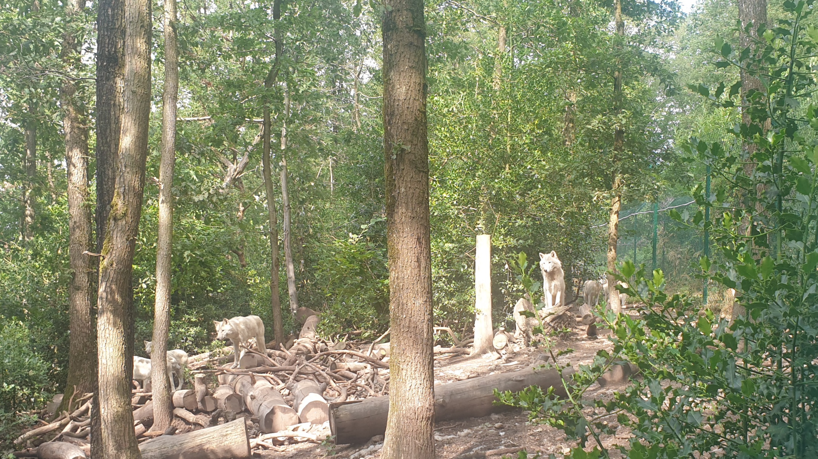 Photo n° 9 de l'avis de YetJ1402. fait le 16/07/2023 à 15:31