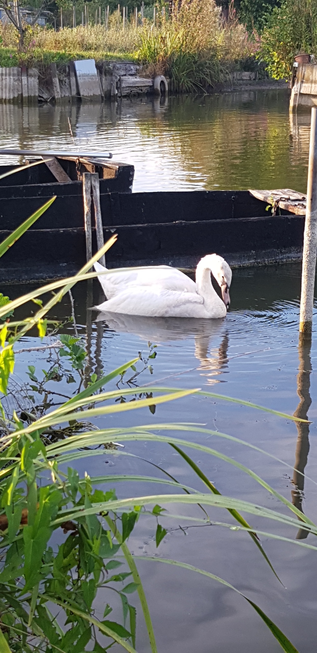 Photo n° 2 de l'avis de LaPetiteChose.L fait le 27/09/2019 à 07:23